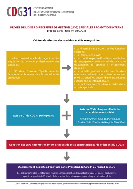 Les Lignes Directrices De Gestion Et Promotion Interne Cdg31